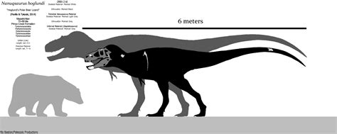 nanuqsaurus skull size.